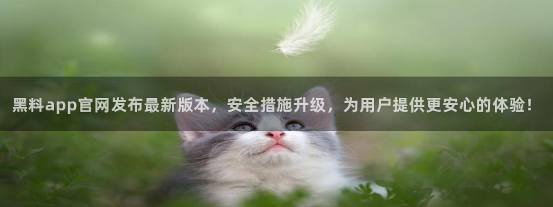 吃瓜吃瓜:黑料app官网发布最新版本,安全措施升级,为用户提供更安心的体验!