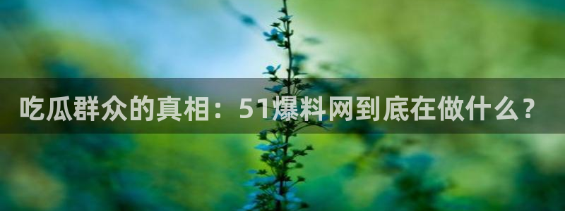 吃瓜胃酸怎么办:吃瓜群众的真相:51爆料网到底在做什么?