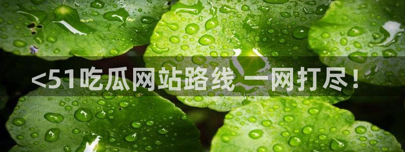 51吃瓜今日吃瓜入口最新:<51吃瓜网站路线 一网打尽!